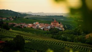 wijngaarden Barolo (dorp & kasteel)
