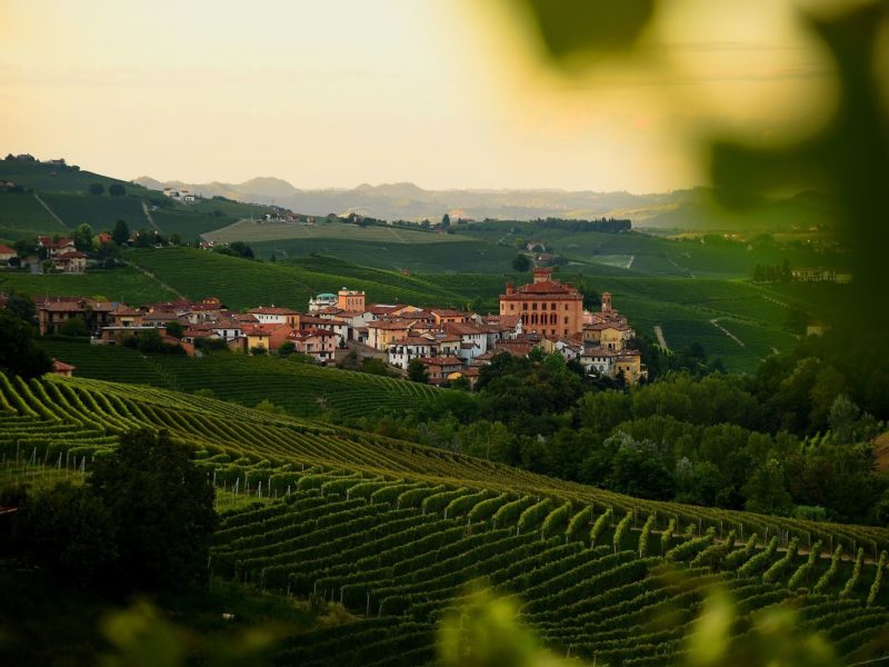 wijngaarden Barolo (dorp & kasteel)