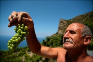 Sicilie druiven