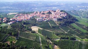 wijngaarden en Stadje Langhe Piemonte