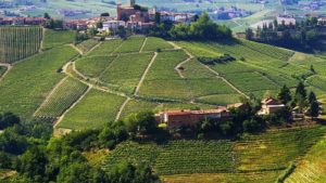 Wijngaarden Piemonte (Langhe)