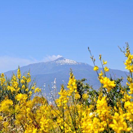 Uitzicht Etna Ginestre