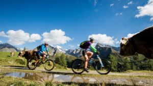Mountain bike - Luxe en actief reis zuid-tirol