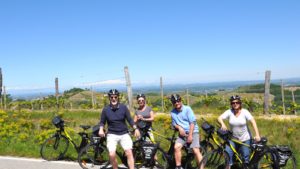 Groepje fietsers E-bike Piemonte wijngaarden