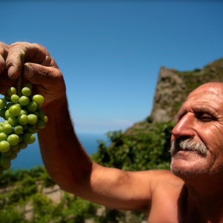 Sicilie druiven