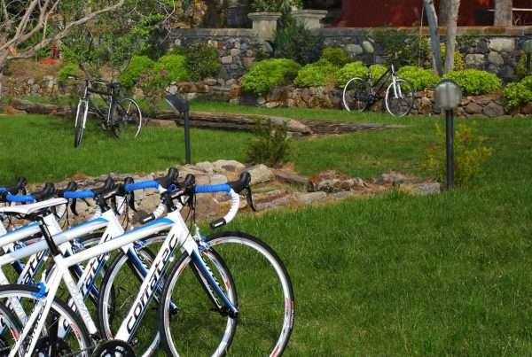 Villa Asfodeli fietsen