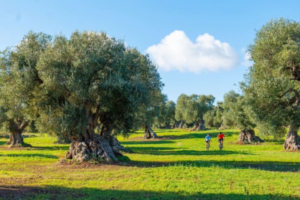 Fietsreis_Salento_Puglia (2)