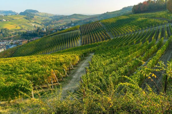 Fietsreis_langhe_Piemonte_E-bike (5)