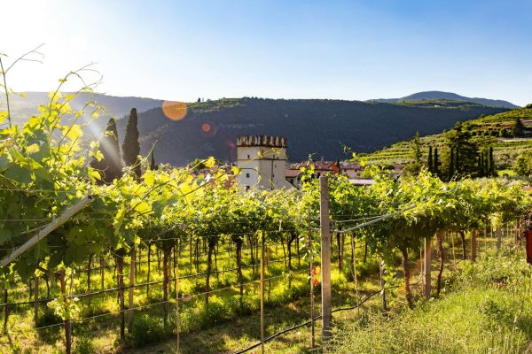 Garda_meer_Valpolicella_Vespa_Tour (5)