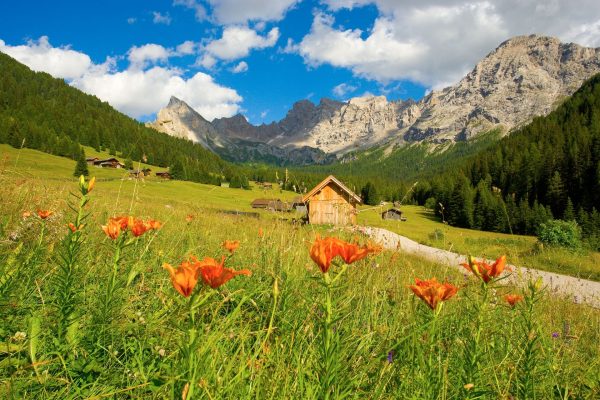 Pozza_val_san_nicolo_dolomiti_huttentocht