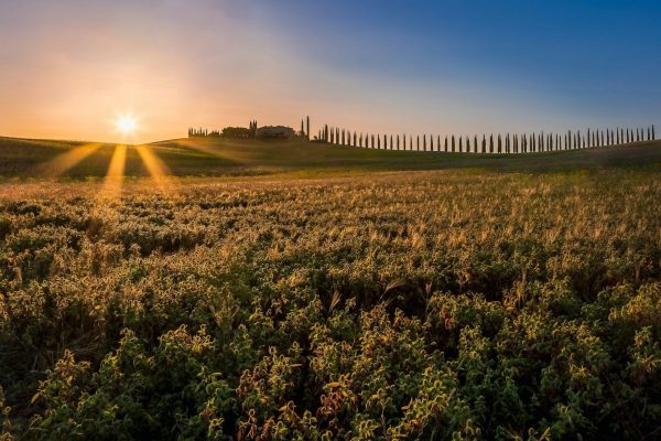 Rondreis Italie Toscane (9)