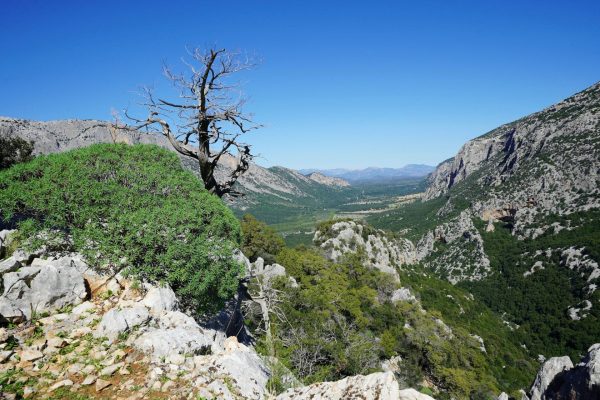Rondreizen_Italie_Sardinie (7)