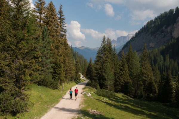 ESCURSIONE IN VAL CONTRIN