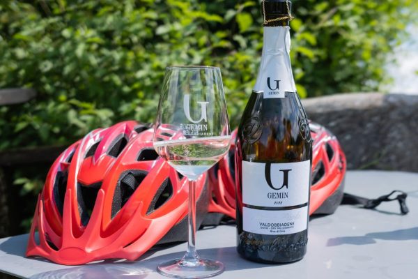 Prosecco-Valdobbiadene-Veneto-Gemin-agriturismo-wijnreis (1)