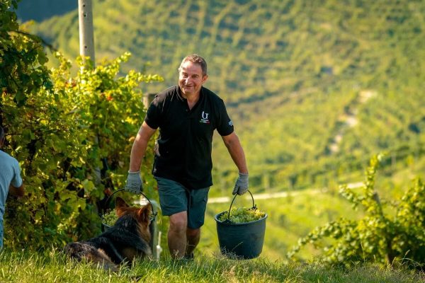 Prosecco-Valdobbiadene-Veneto-Gemin-agriturismo-wijnreis (10)