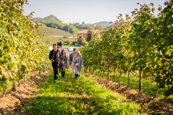 Prosecco-Valdobbiadene-Veneto-Gemin-agriturismo-wijnreis (5)